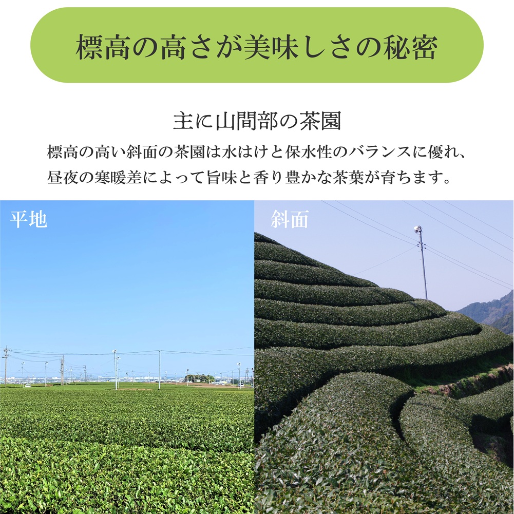 お茶のしずく