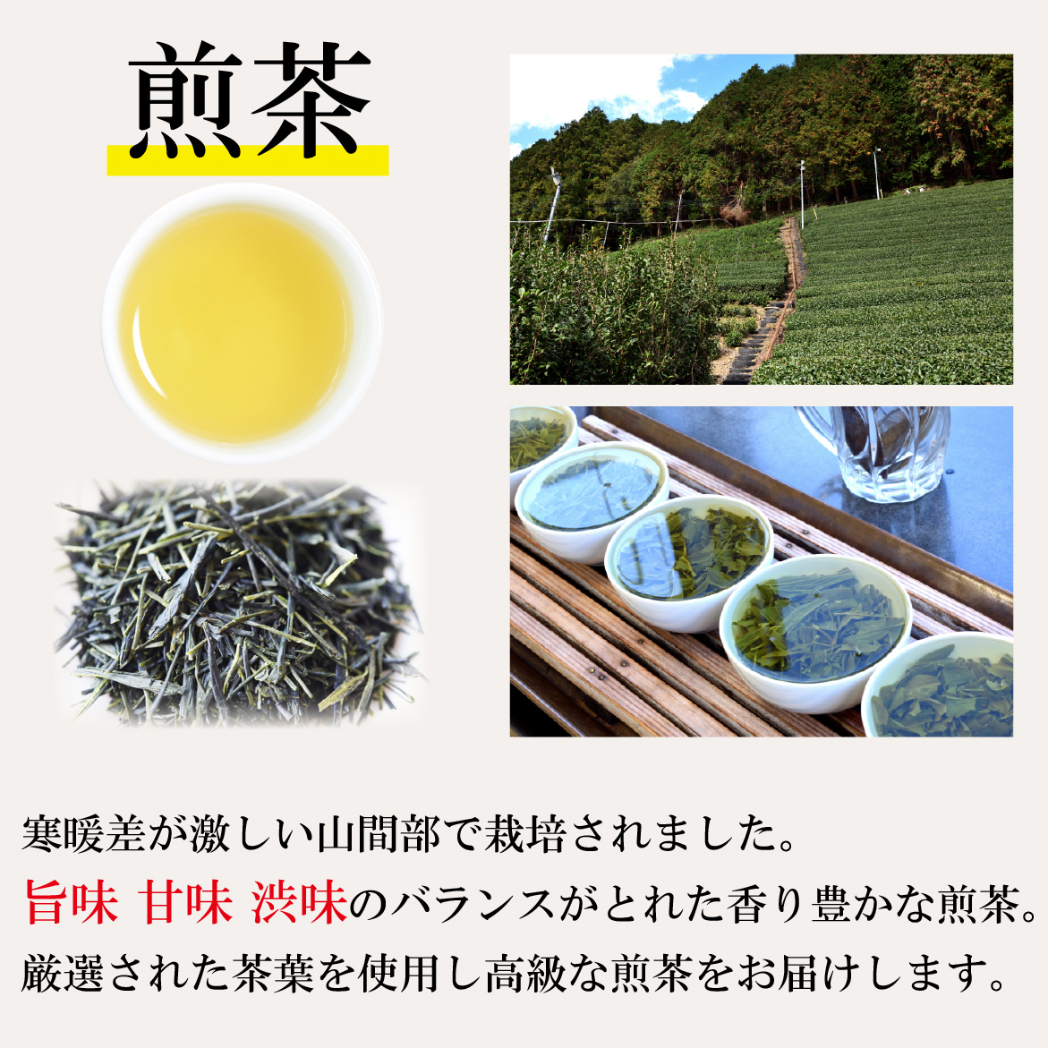 彩り3種セット 静岡茶 ギフト