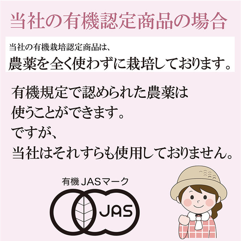 JAS有機栽培緑茶ティーバッグ