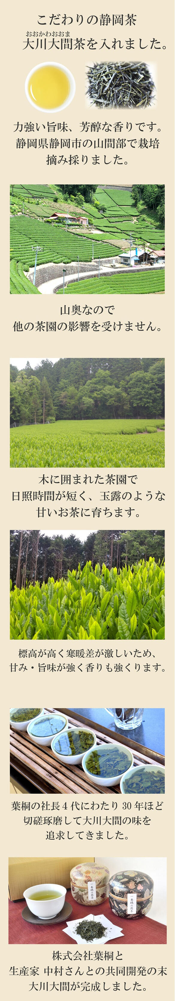 高級鈴子缶2個セット案内