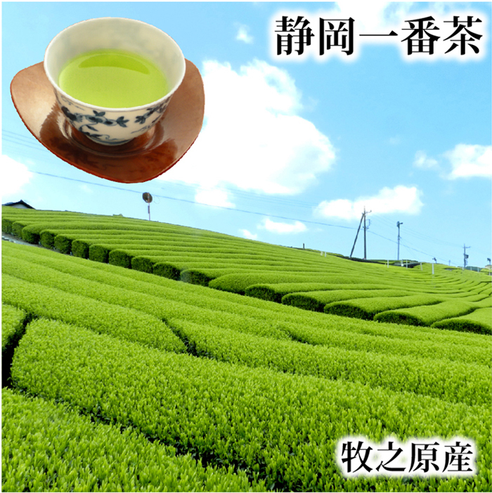 ＼葉桐MVPセール 1,080円→756円／ お茶 緑茶 特蒸深むし茶 100g