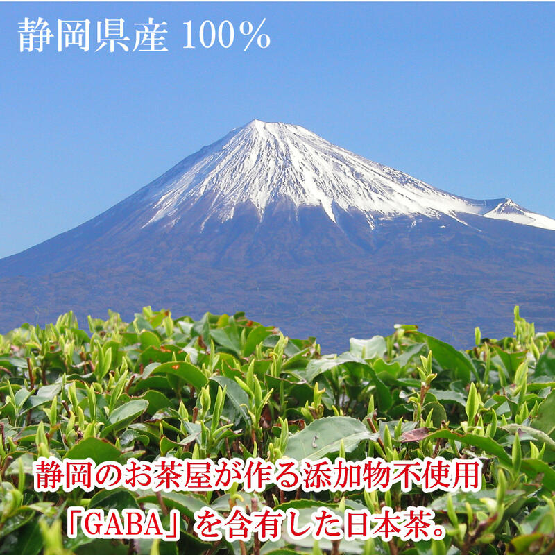 ギャバ茶 お茶 緑茶 ギャバロン茶　リーフ 100g  静岡産100% 国産 健康茶 日本茶 ギャバロン茶 茶葉 静岡のお茶屋 静岡茶 GABA茶 添加物不使用｜shizuokahagiricha｜15