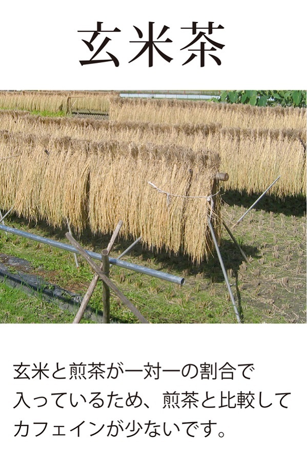 楽天市場】お茶 緑茶 茶葉 静岡 玄米茶 『葉桐 マル桐玄米茶』150g 香ばしい香り お茶の葉桐 葉 茶葉 玄米茶 げんまい茶 緑茶 静岡茶 : 静岡 茶の通販 葉桐