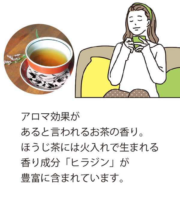 お茶パック 三年熟成番茶ティーバッグ 5ｇ×15ヶ お茶の葉桐 ほうじ茶ティ−バッグ 棒焙茶 静岡のお茶屋 緑茶、日本茶 