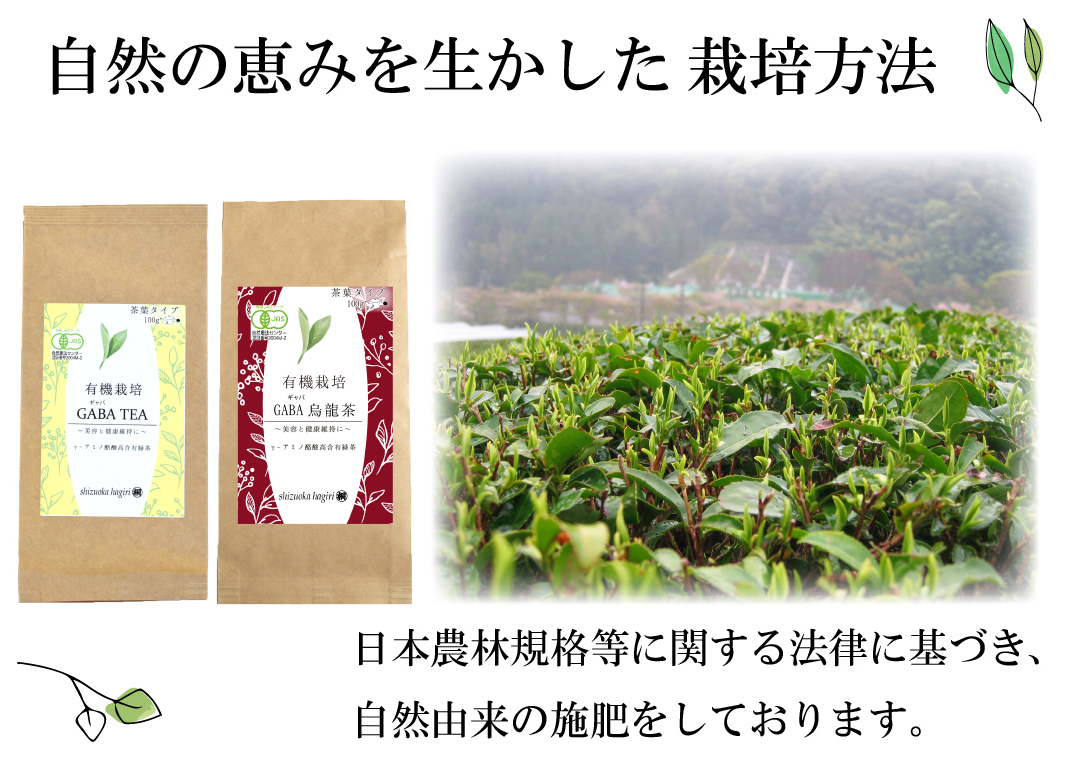 ギャバ茶 お茶 緑茶 JAS有機栽培GABA茶 有機 ギャバロン茶 ギャバ茶 GABA 健康茶 リーフ お茶っぱ γアミノ酪酸 ストレス 血圧 睡眠 添加物不使用｜shizuokahagiricha｜04