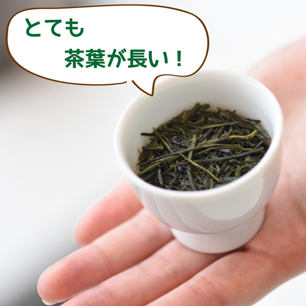 葉桐 お茶 ギフト 緑茶 プレゼント 東頭〜とうべっとう〜 木箱入り