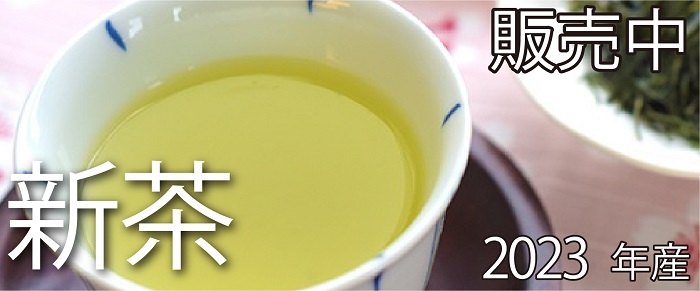葉桐今月イチオシ1(新茶)