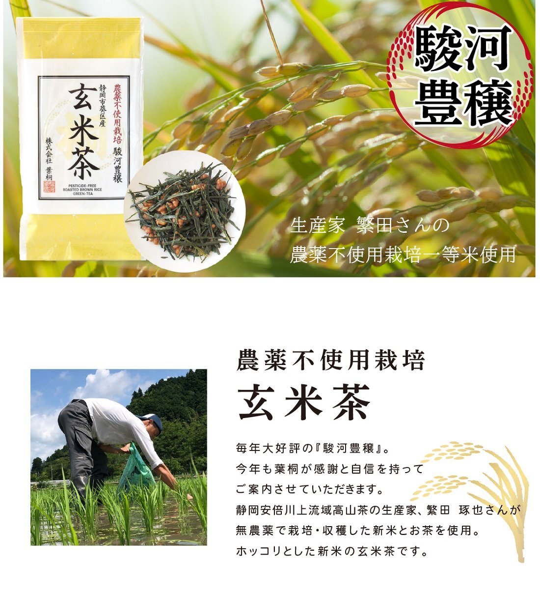 産玄米茶 茶葉 静岡茶 農薬不使用栽培 日本茶 お茶っ葉 特徴 栄養パワーの違い 栄養を無駄にしない淹れ方