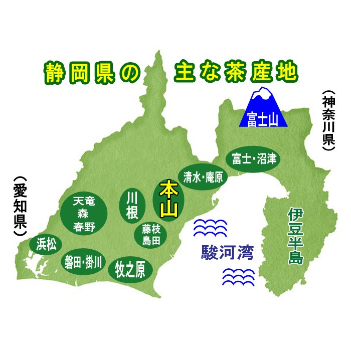 朝日香』200g 令和7年産新茶（5月10日頃〜発送） : 静岡お茶屋かのう