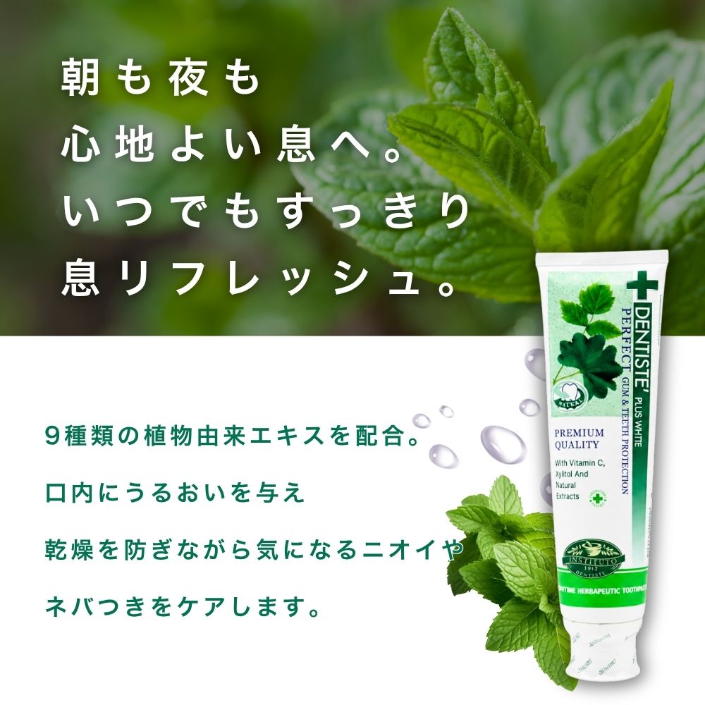 DENTISTE'（デンティス） 160g 歯磨き粉 チューブ 口臭ケア オリジナル