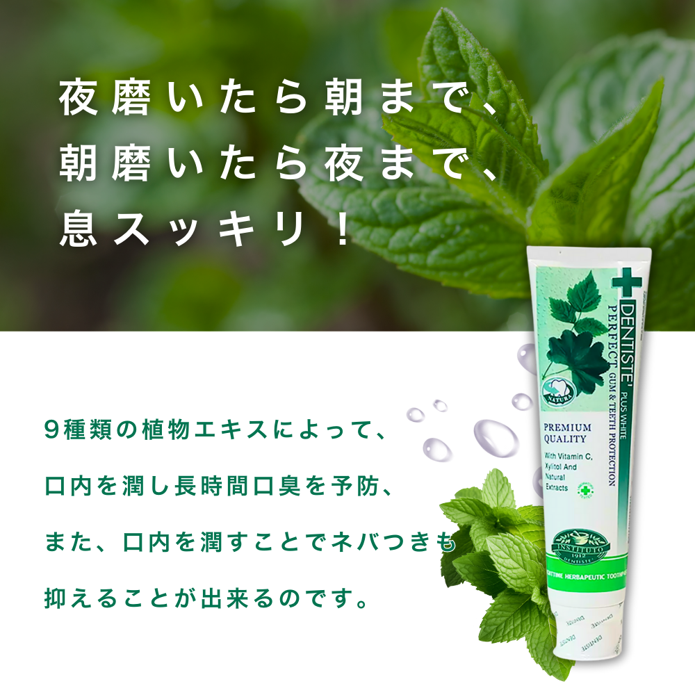 DENTISTE'（デンティス） 160g 歯磨き粉 チューブ 口臭予防 オリジナル