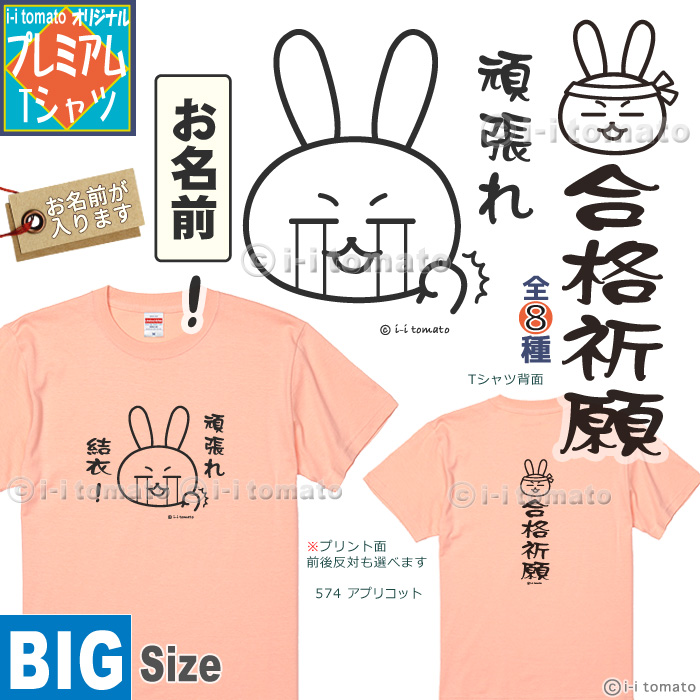 名入れ 頑張れ！(A)泣くほどプレミアムTシャツ 大きいサイズXXL・XXXL 受験応援グッズ 内定祈願 目標達成 痩身祈願 禁煙成功 早寝早起 生活改善 お守り United Athle 名入れ 頑張れ！(A)プレミアムTシャツ 大きい