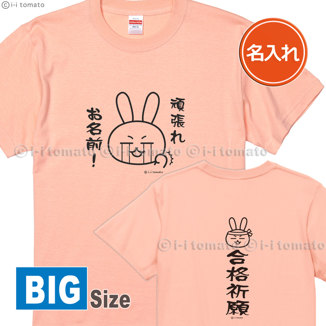 名入れ 頑張れ！(A)プレミアムTシャツ 大きいサイズXXL・XXXL 受験応援グッズ 勝利必勝 内定祈願 商売繁盛 学業成就 大願成就 一攫千金 筋肉増強 お守り