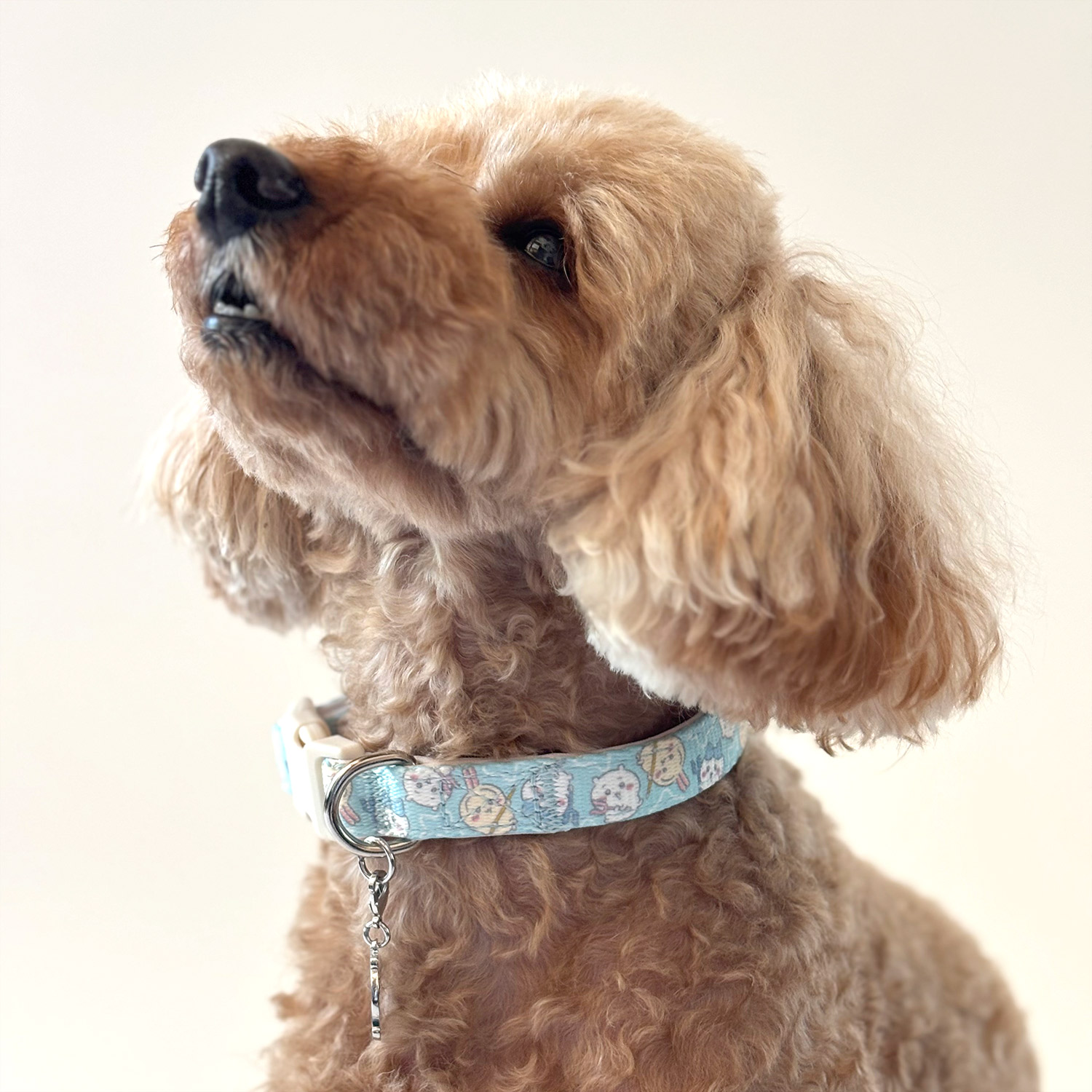 ちいかわ 小型犬用 首輪 モチーフ柄 ＜ ピンク / Sサイズ ＞ chiikawa