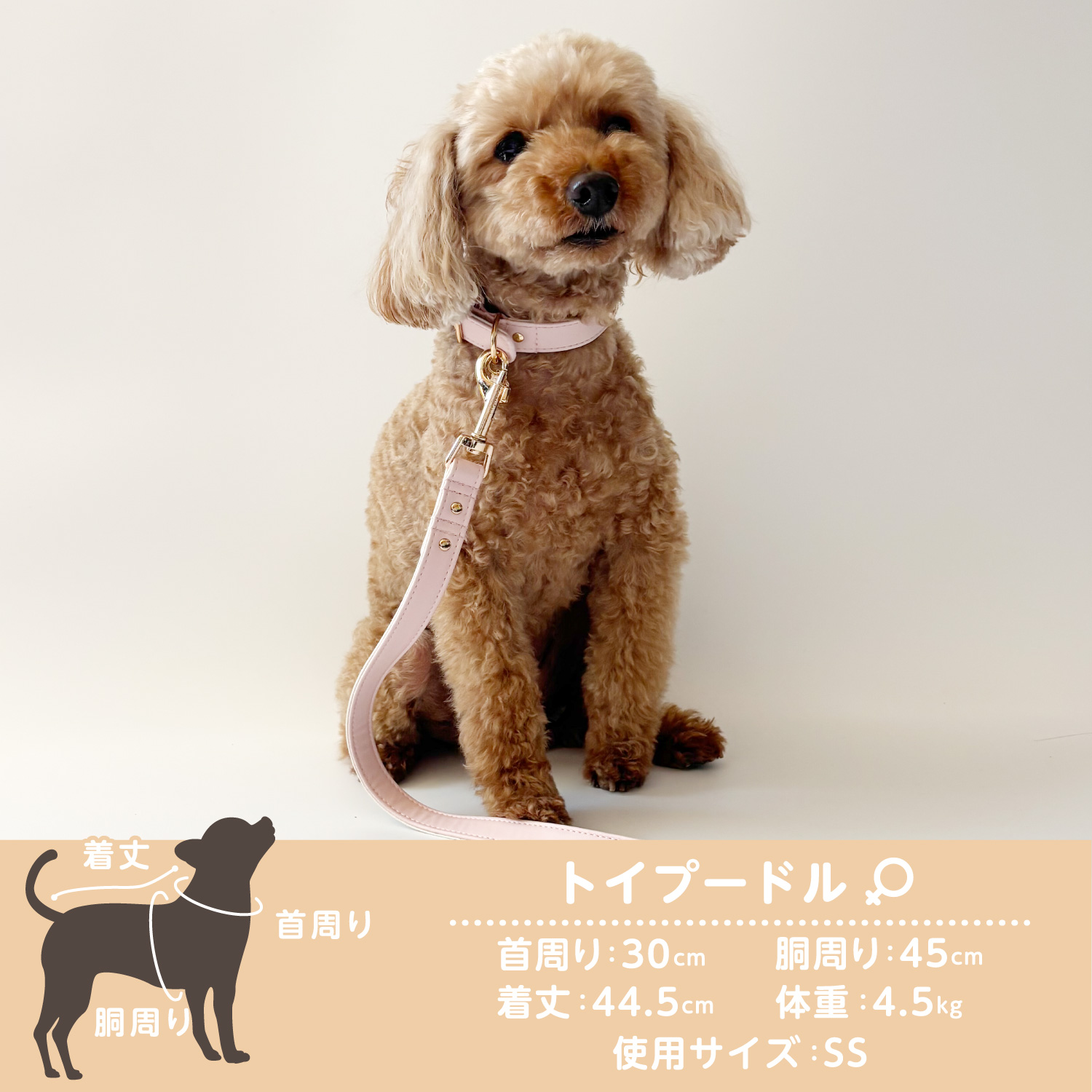 ちいかわ 小型犬用 首輪 合皮タイプ ＜ ピンク / SSサイズ ＞ chiikawa