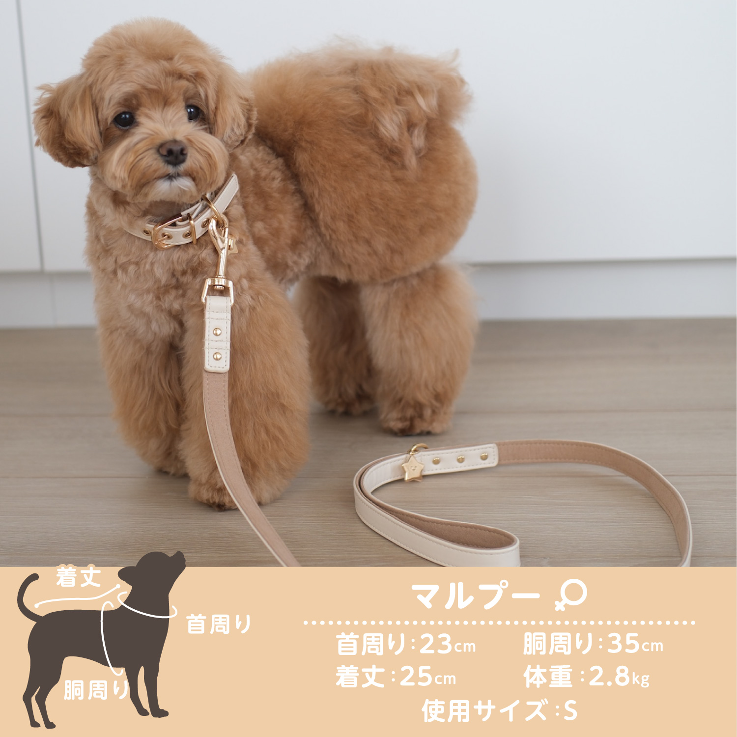 ちいかわ 小型犬用 首輪 合皮タイプ ＜ ピンク / SSサイズ ＞ chiikawa