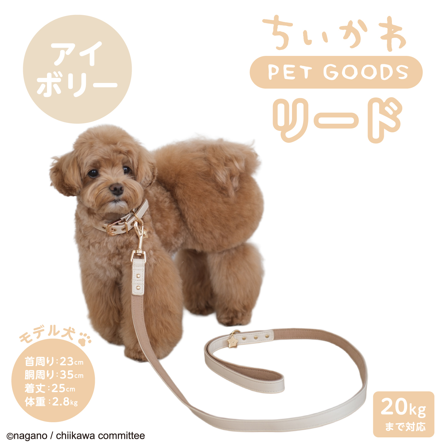 ちいかわ 小型犬用 リード 合皮タイプ ＜ ピンク ＞ chiikawa CW20836