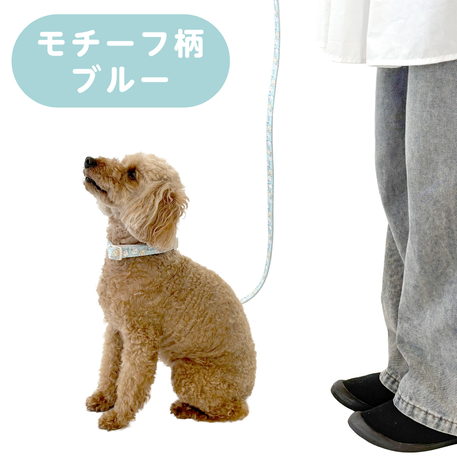ちいかわ 小型犬用 リード モチーフ柄 ＜ ピンク ＞ chiikawa CW20774