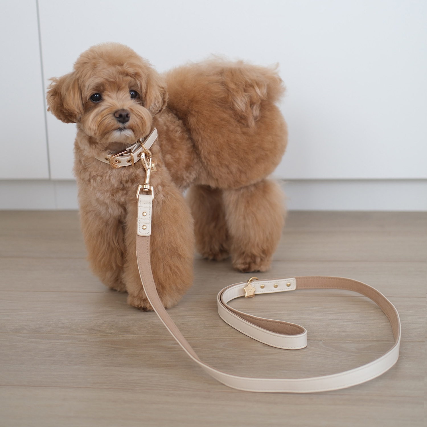 ちいかわ 小型犬用 リード 合皮タイプ ＜ ピンク ＞ chiikawa CW20836