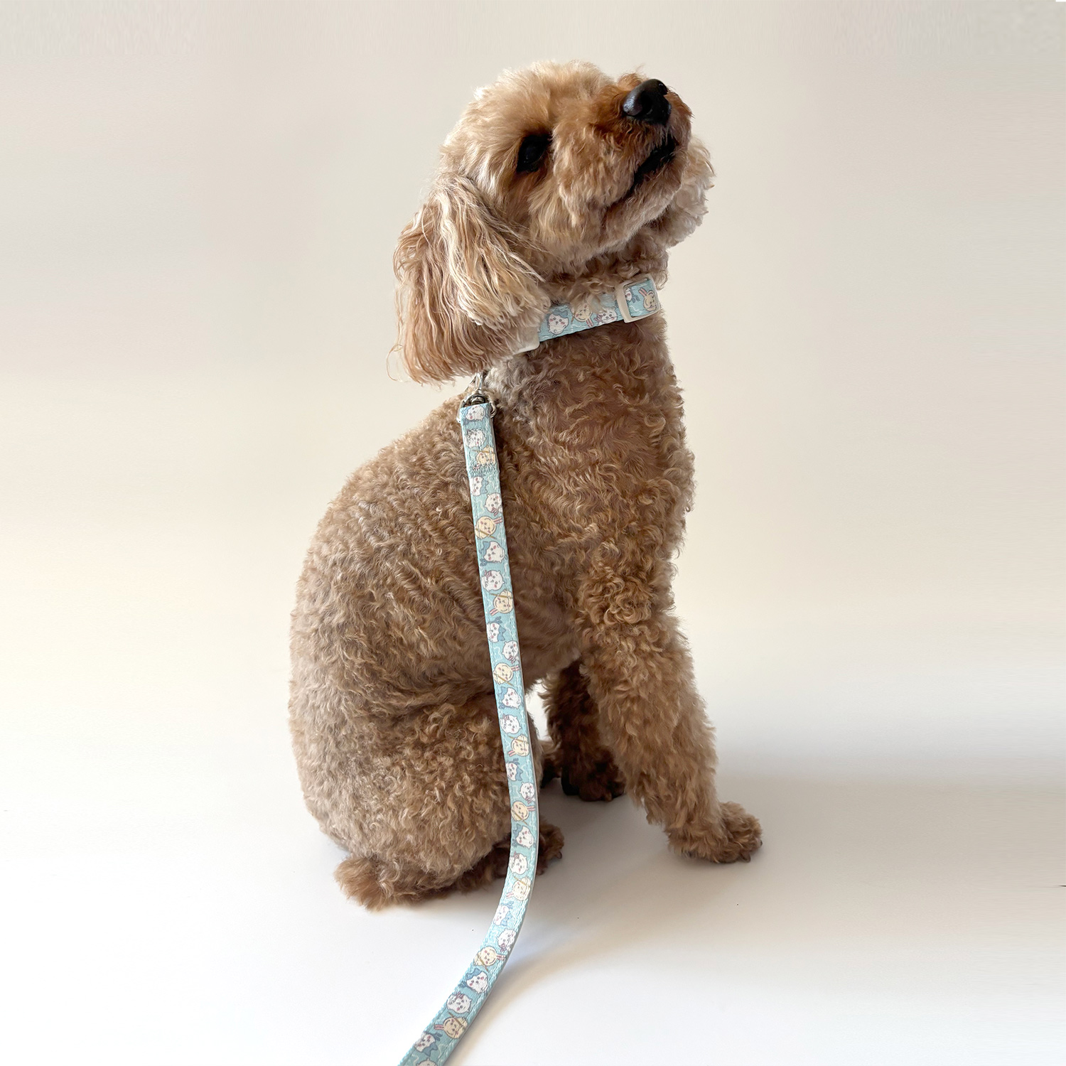 ちいかわ 小型犬用 リード モチーフ柄 ＜ ピンク ＞ chiikawa CW20774