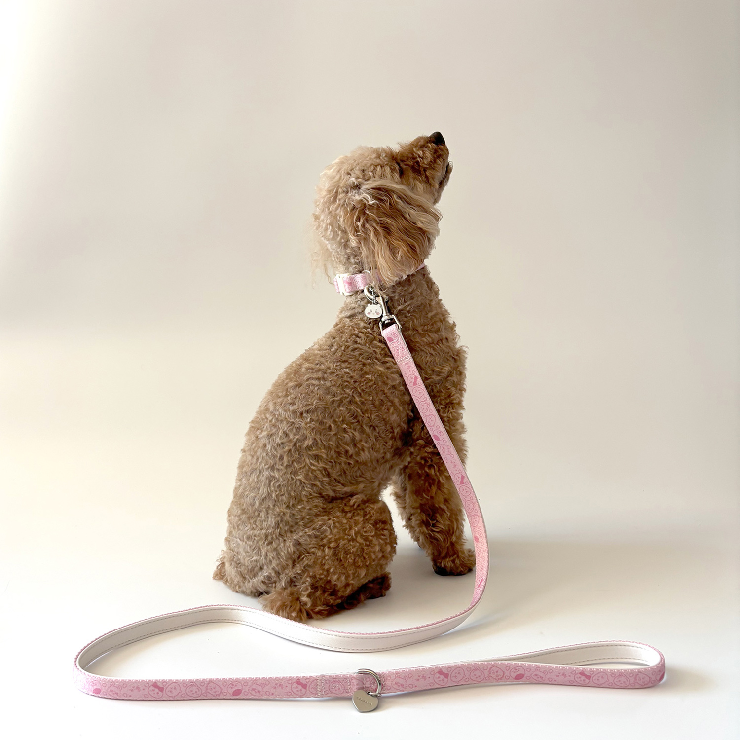 ちいかわ 小型犬用 リード モチーフ柄 ＜ ピンク ＞ chiikawa CW20774