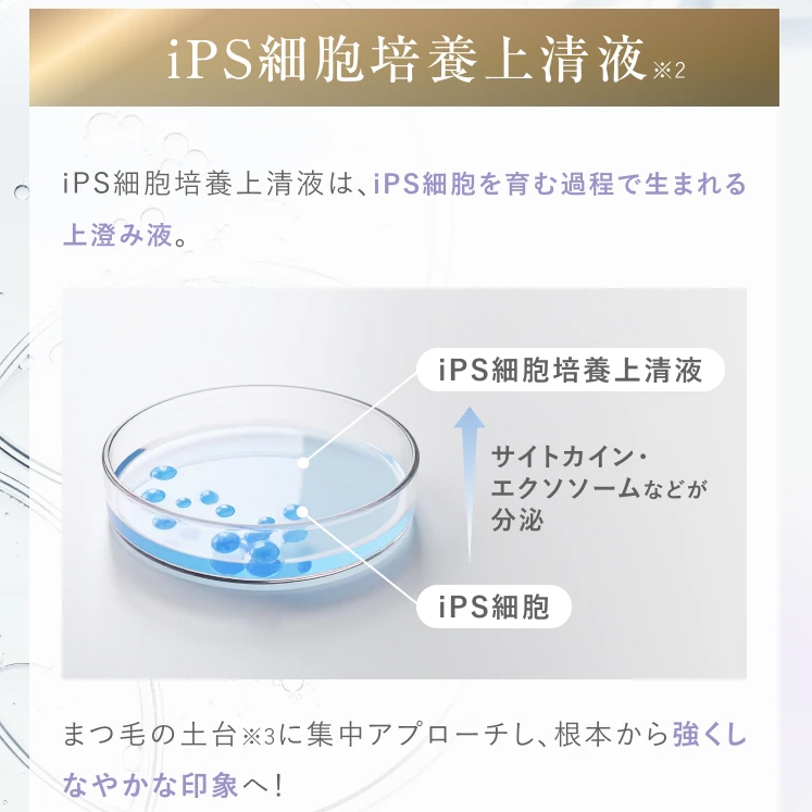 ＼MAQUIA ONLINEで紹介／【初回限定50％OFFクーポン】イプセンス iPSence ラッシュブースター まつ毛美容液 IPS配合 まつ毛ケア 日本製 素沈着成分無し IL68683 | SHOBIDO | 05