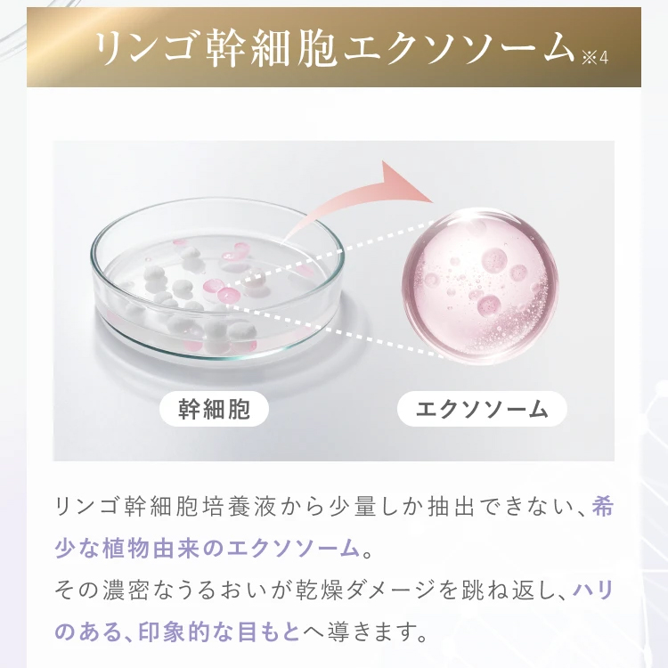 ＼MAQUIA ONLINEで紹介／【初回限定50％OFFクーポン】イプセンス iPSence ラッシュブースター まつ毛美容液 IPS配合 まつ毛ケア 日本製 素沈着成分無し IL68683 | SHOBIDO | 06