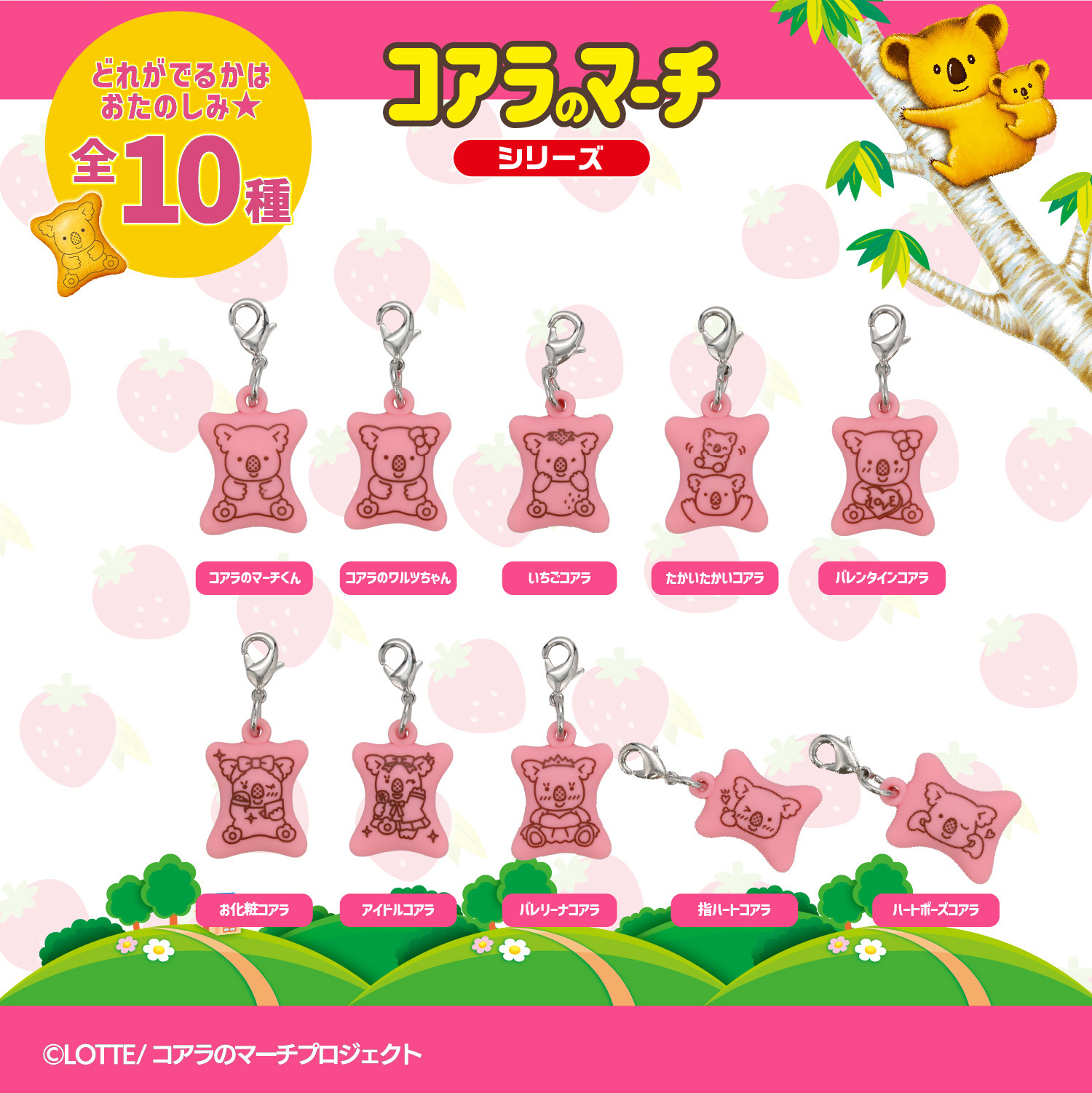 SHOBIDO 【ケース商品】【全10種セット】 LOTTE コアラのマーチ