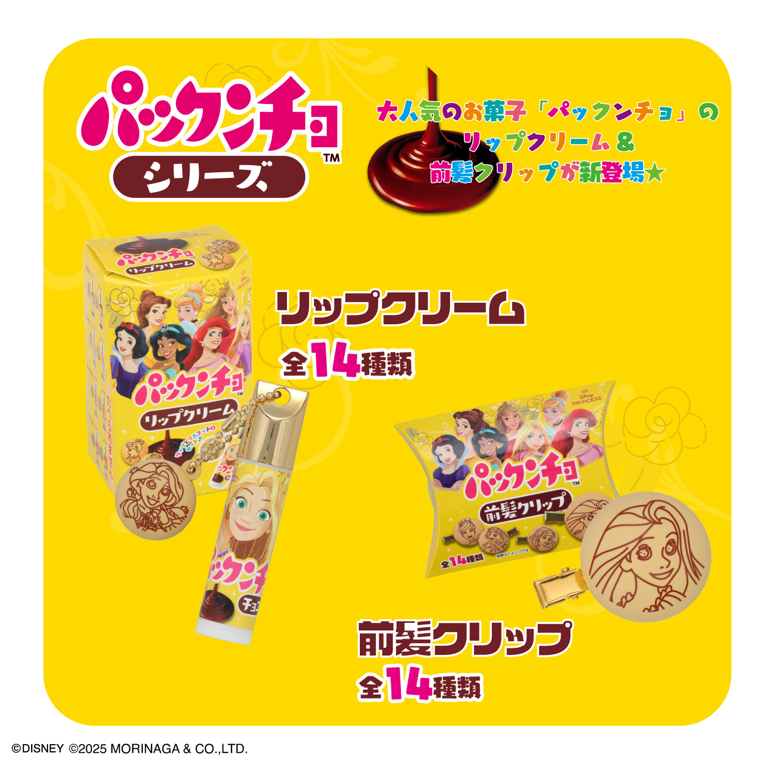 SHOBIDO 【ケース商品】【全14種セット】 ディズニープリンセス 森永