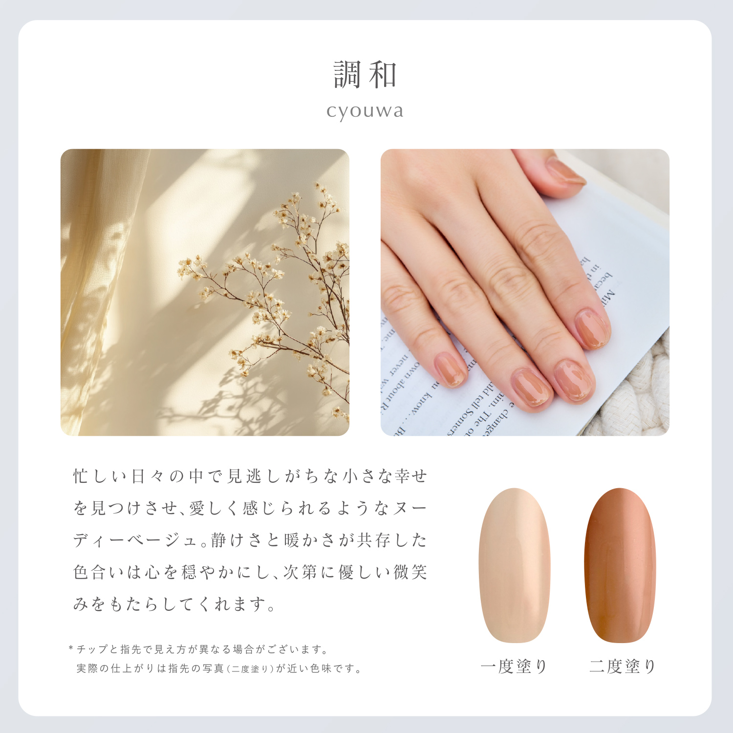 SHOBIDO ジェリーバイ デコラティブネイル カラージェル ＜cyouwa(調和