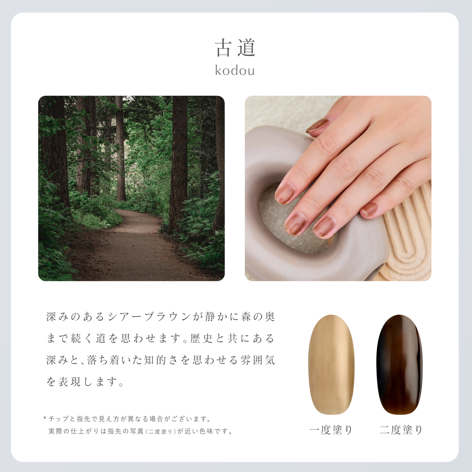 SHOBIDO ジェリーバイ デコラティブネイル カラージェル ＜kodou(古道