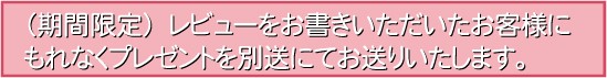 レビューでプレゼント進呈