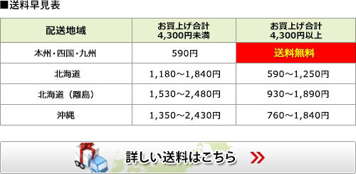 瞬足 しゅんそく スニーカー 黒 キッズ ジュニア JJ188 フォーマル靴