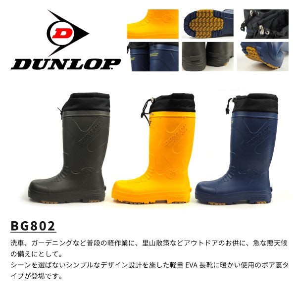 bg802_1.jpg