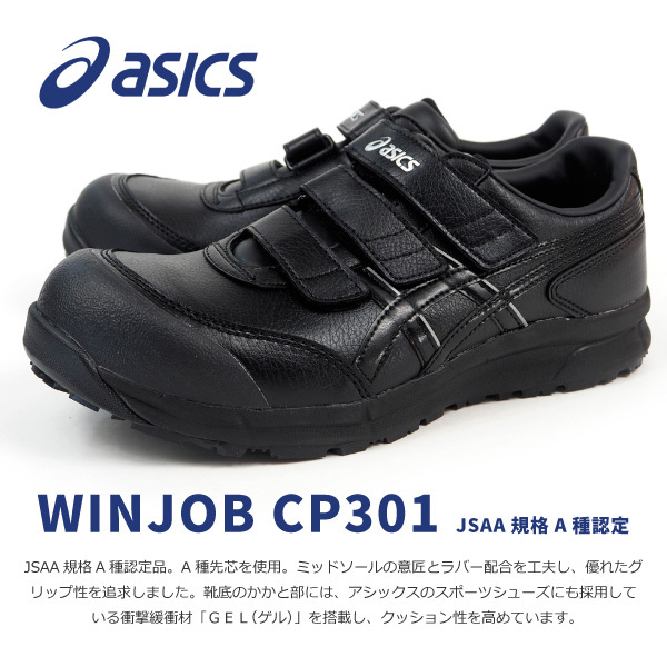 cp301_1.jpg