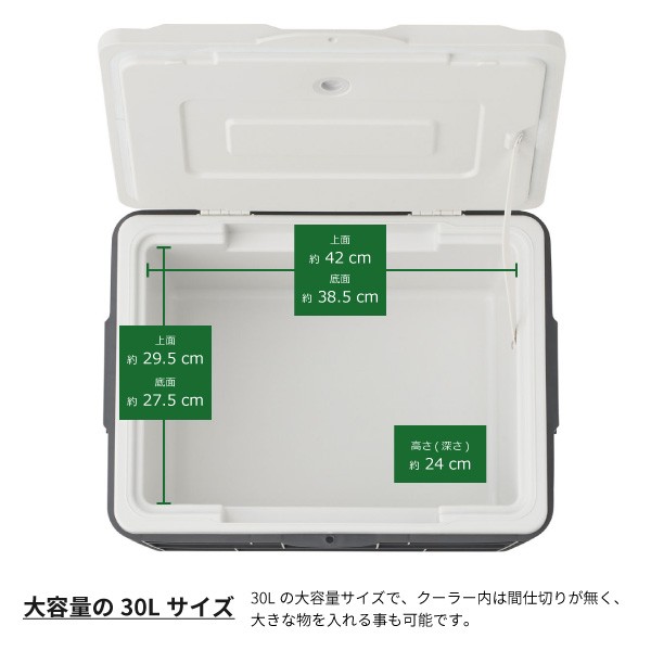 LOGOS(ロゴス) サーモテクト 氷点下クーラー30/30L/81670120 楽天市場】ロゴス LOGOS サーモテクト 氷点下クーラー30 81670120