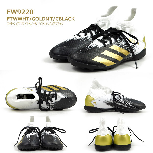 p203t_4.jpg