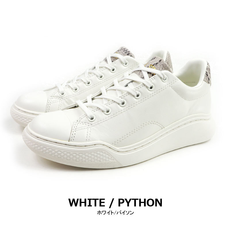 SALE】CONVERSE(コンバース) オールスター クップ パイソン