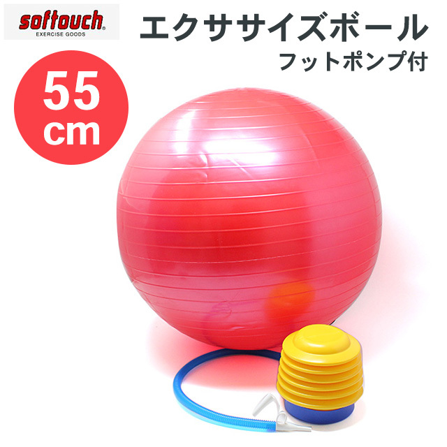 エクササイズボール 55cm レッド フットポンプ付 ソフタッチ バランス