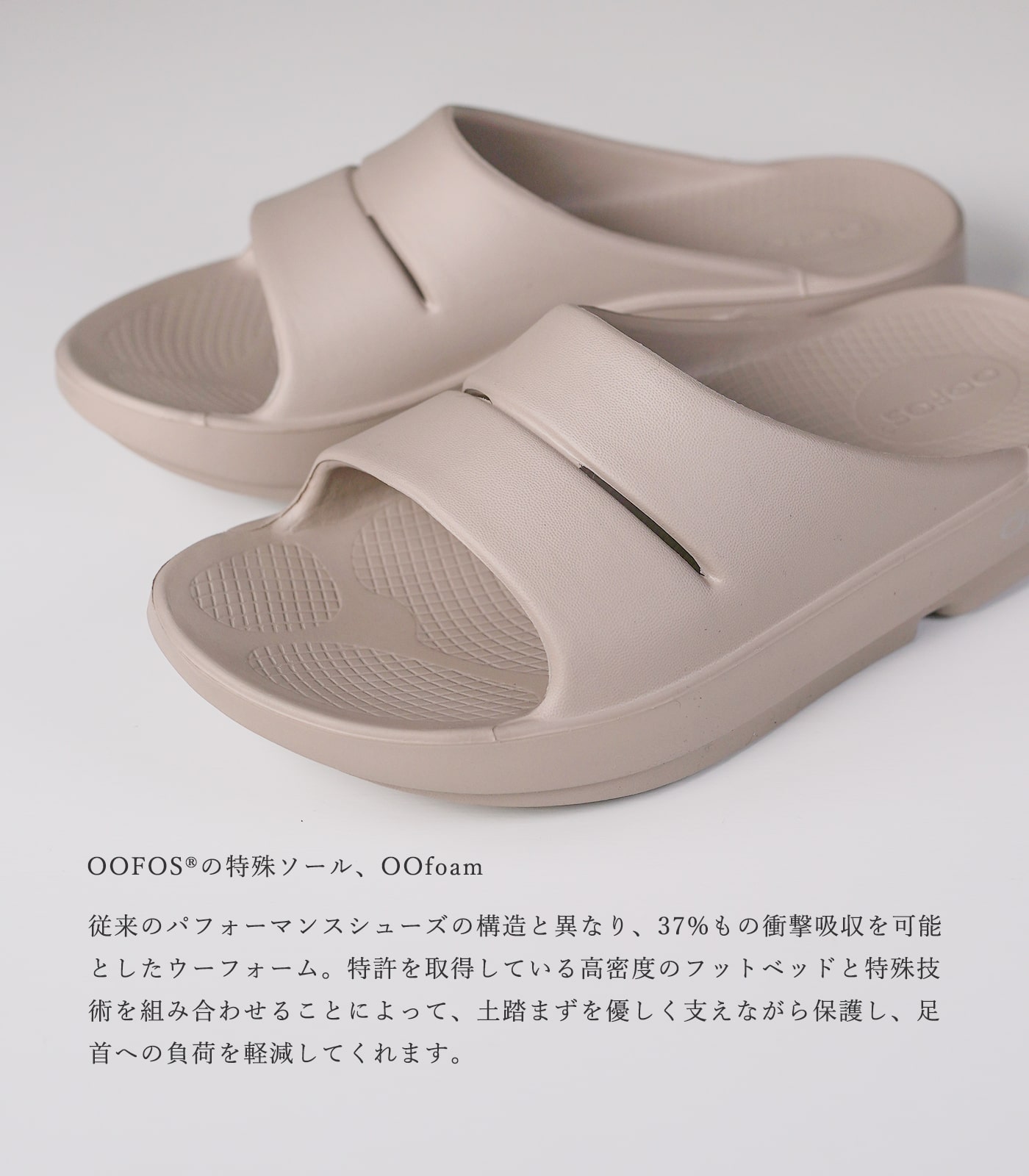 5020020-4.jpg