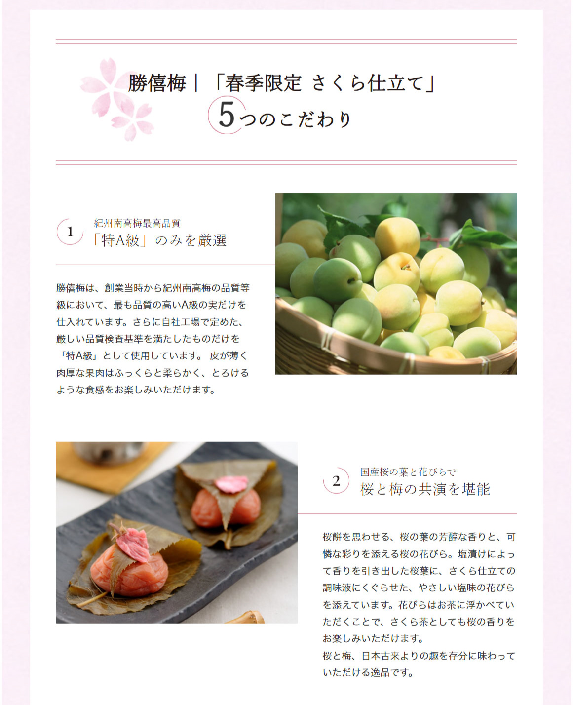 勝僖梅 20周年特集