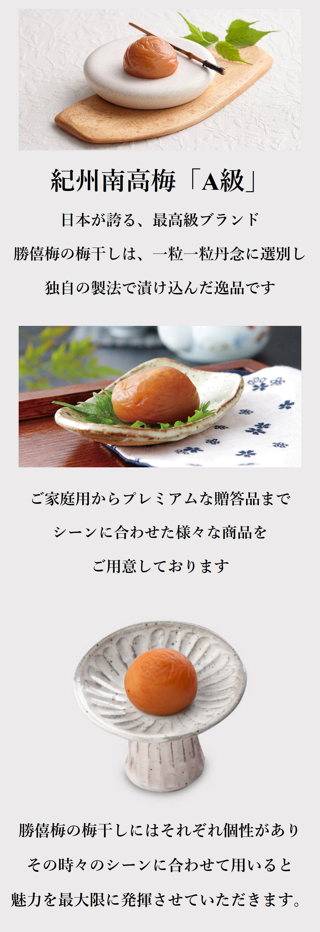 梅干専門店 勝喜梅Yahoo!店 - Yahoo!ショッピング