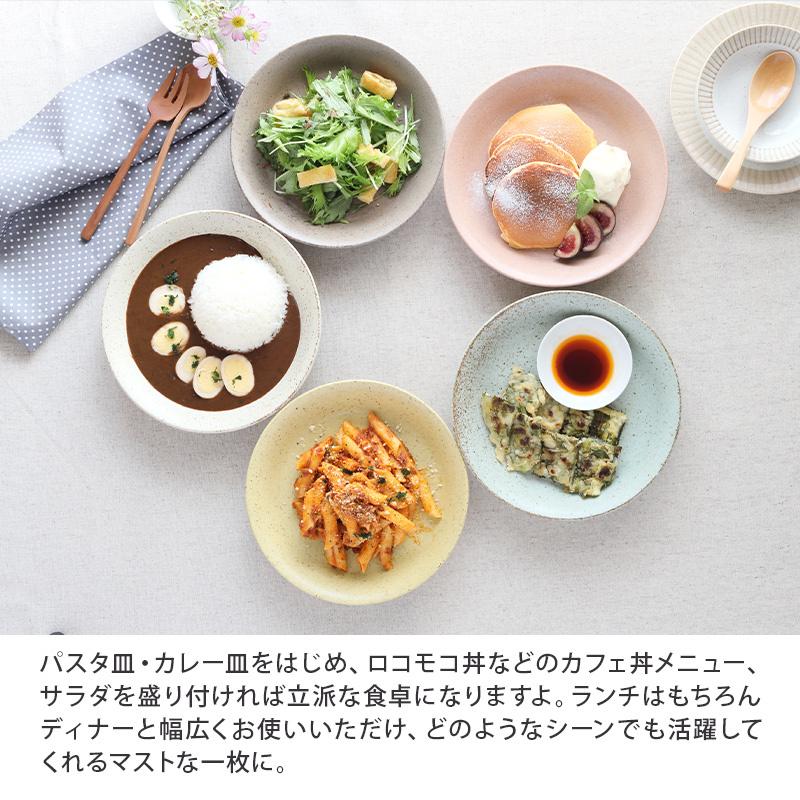 カレー皿　22cm　パステルマット　軽量食器