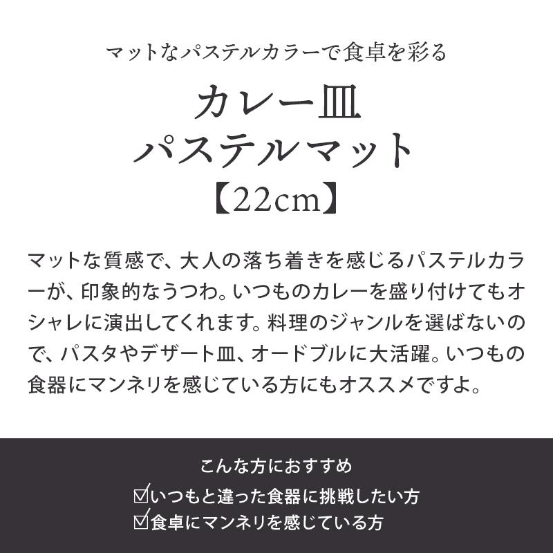 カレー皿　22cm　パステルマット　軽量食器