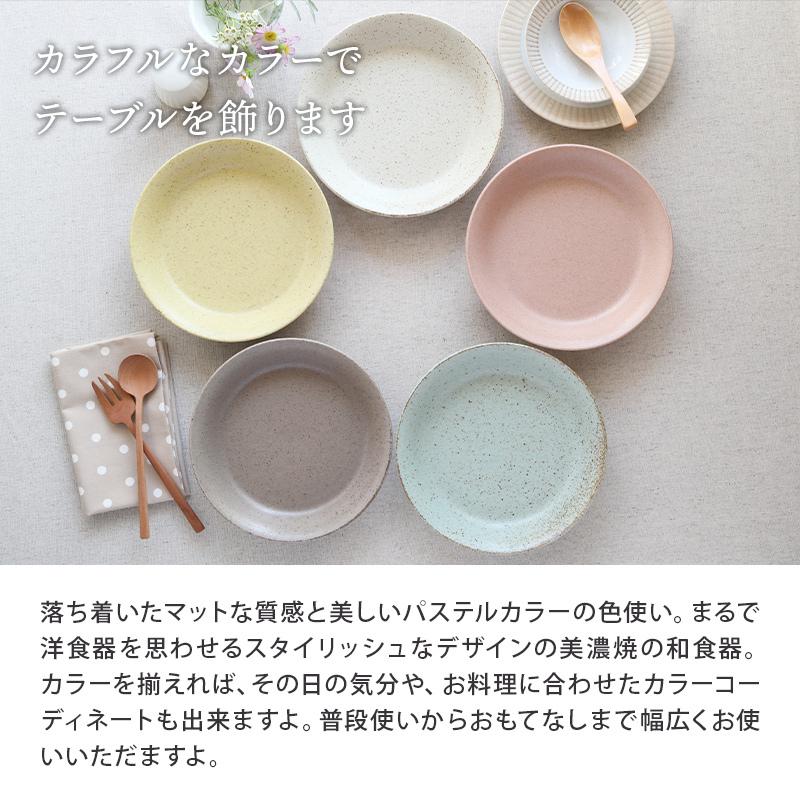 カレー皿　22cm　パステルマット　軽量食器