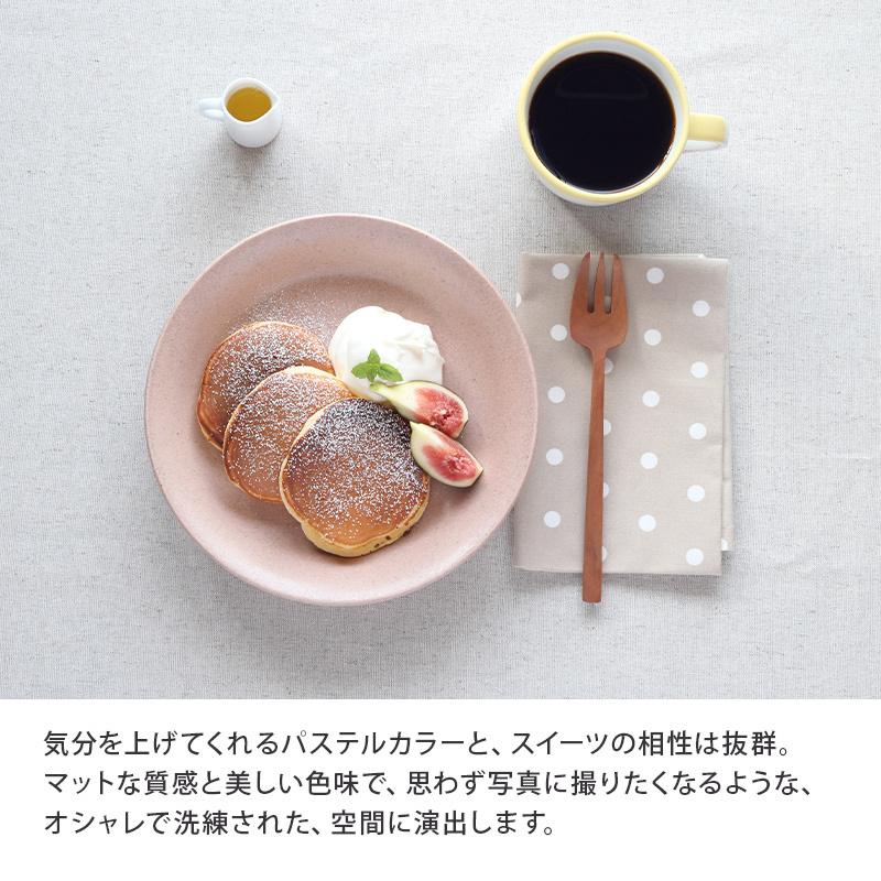 カレー皿　22cm　パステルマット　軽量食器