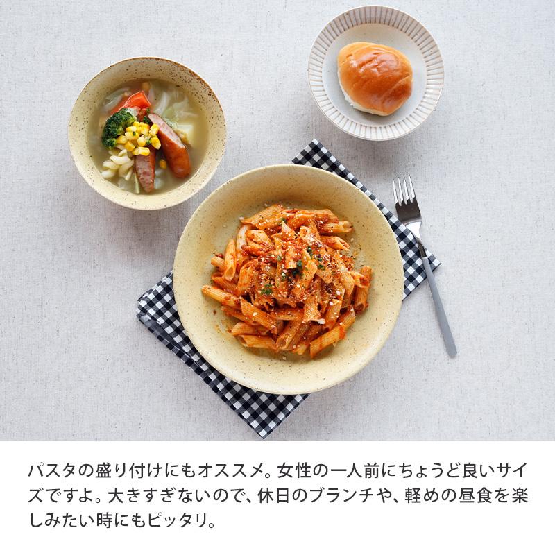 カレー皿　22cm　パステルマット　軽量食器