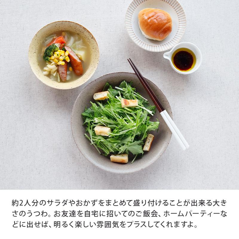 カレー皿　22cm　パステルマット　軽量食器