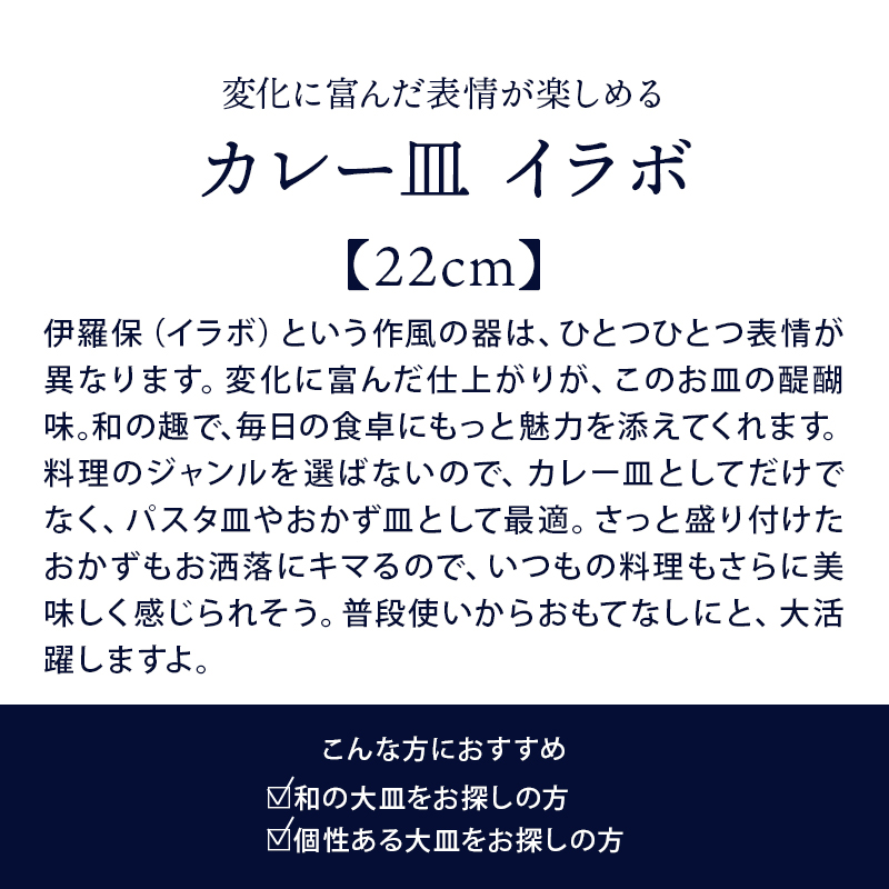カレー皿　22cm　イラボ