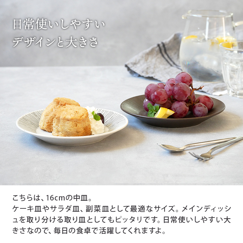 プレート 16cm Rim wire